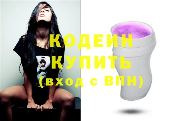 индика Балахна