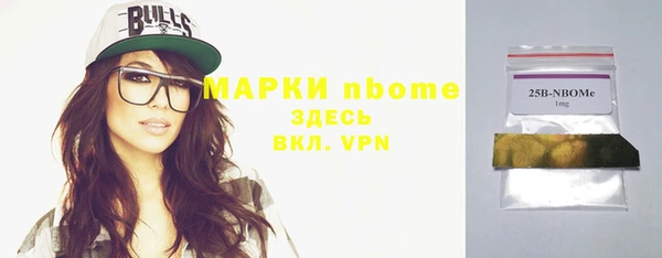 индика Балахна