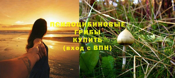 индика Балахна
