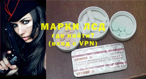 шишки Грязовец