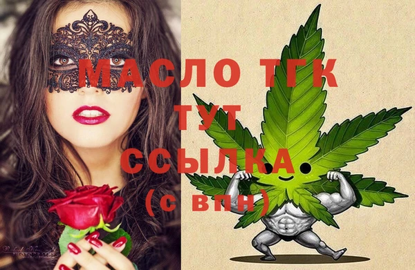 индика Балахна