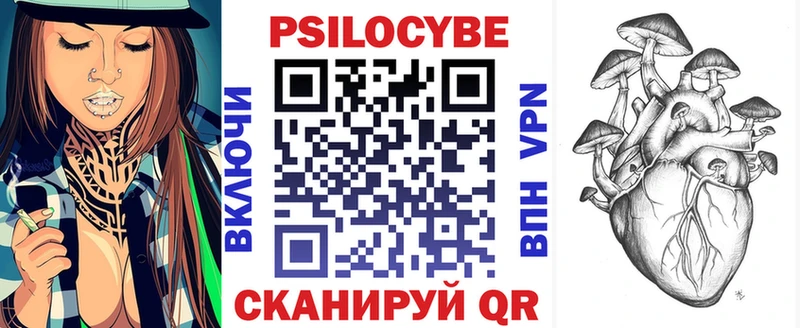 купить   Кондрово  Галлюциногенные грибы мицелий 